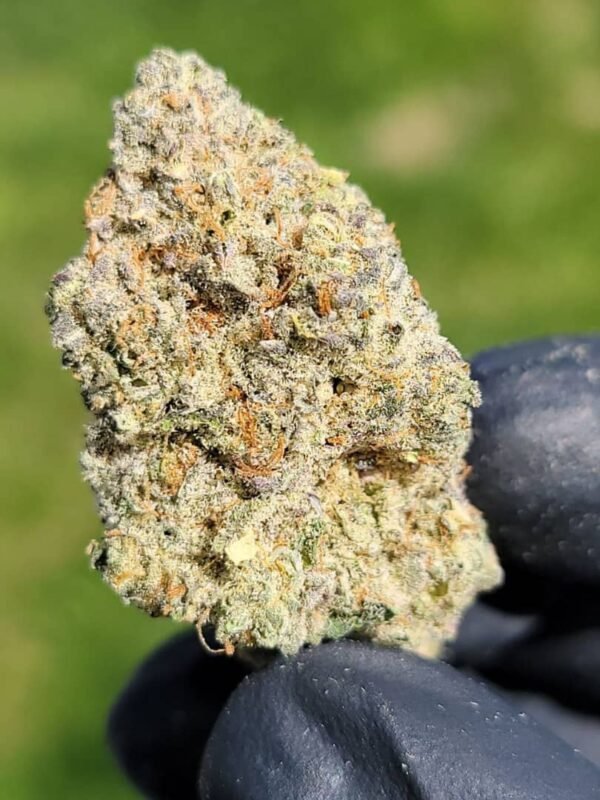 Buy Alien Labs Atomic Apple Marijuana Strain Online
