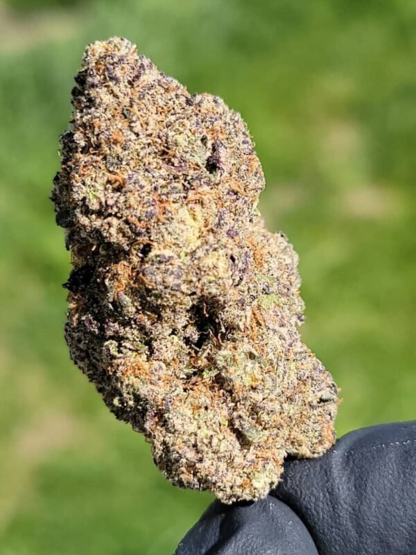 Buy-Alien-Labs-KryptoChronic-Marijuana-Strain-Online-Florida.jpeg Buy Alien Labs KryptoChronic Marijuana Strain Online