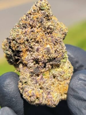Buy Alien Labs Motorbreath Marijuana Strain Online