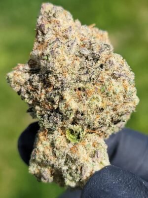 Buy Aliens Labs Biskanté Marijuana Strain Online