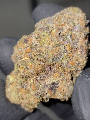 Buy Backpackboyz Black Cherry Gelato Marijuana Strain Online