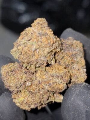 Buy Backpackboyz Blue Gotti Marijuana Strain Online