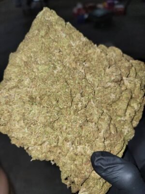  Buy Backpackboyz Bubblegum Gelato Marijuana Strain Online