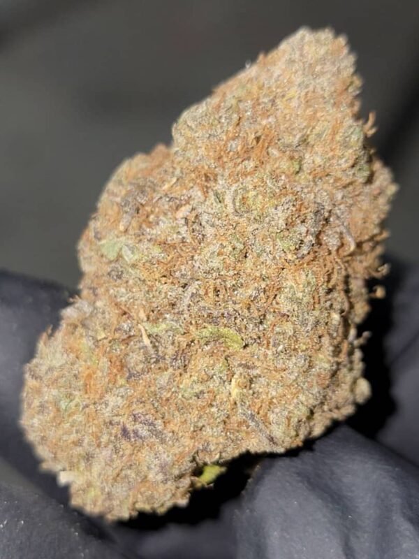 Buy-Backpackboyz-Lemon-Cherry-Gelato-Marijuana-Strain-Online-Florida.jpeg Buy Backpackboyz Lemon Cherry Gelato Marijuana Strain Online