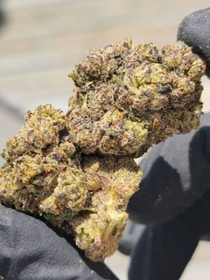 Berner Cookies Cereal Milk Marijuana