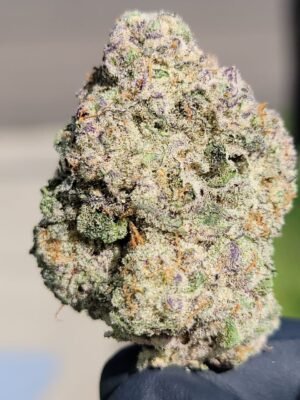 Buy Berner Cookies Gary Payton Marijuana Strain Online