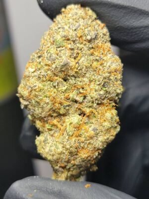 Buy Berner Snowman Marijuana Strain Online
