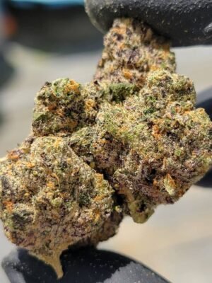 Cookies Gellati Marijuana