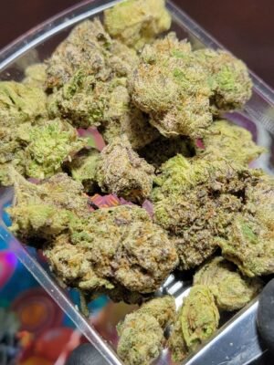 Buy Jungleboys Berry Pie Marijuana strain Online