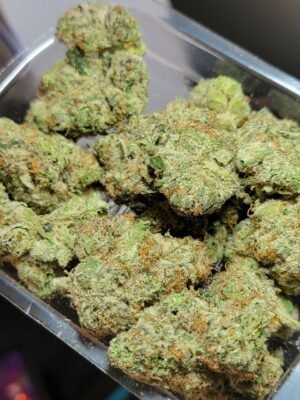 Buy Jungleboys LA Kush Cake Marijuana Strain Online