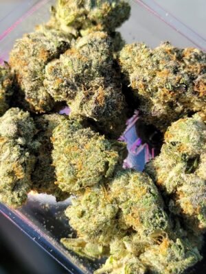 Buy Jungleboys Smackerz Marijuana Strain Online