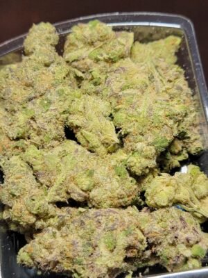 Buy Jungleboys White Fire OG Marijuana Strain Online