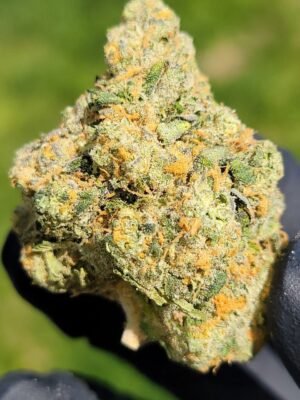 Buy Jungleboys Zack Pie Marijuana Strain Online