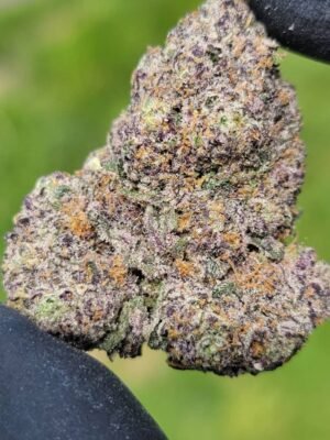 Cookies Pink Rozay Marijuana