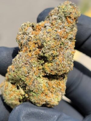Buy Backpackboyz White Cherry Gelato Marijuana Strain Online