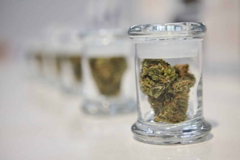 Can Marijuana Be Addictive? Understanding Cannabis Use Disorder Where to Buy Medical Marijuana Online New Plymouth NZ