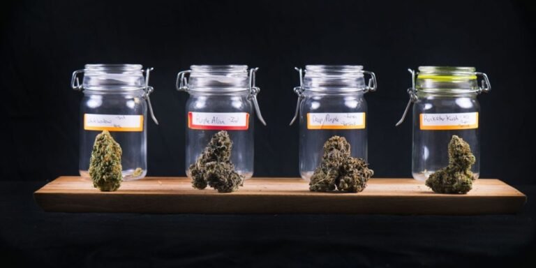 Marijuana Myths vs. Facts: Separating Science From Common Misconceptions Where do I Order Weed Online Sydney Legally