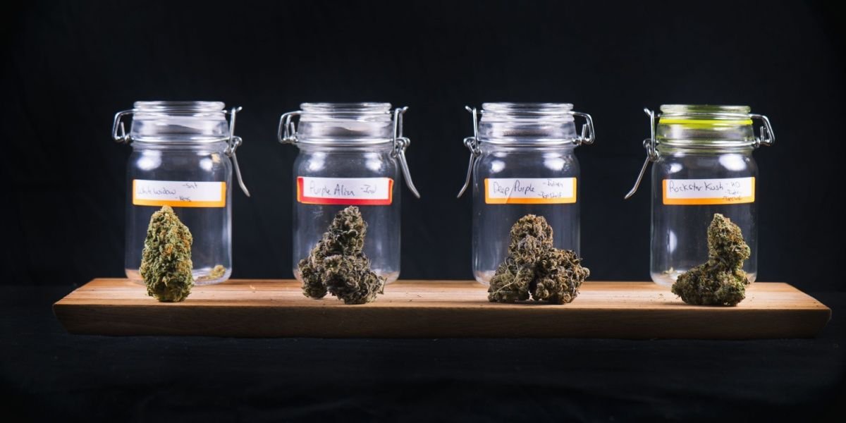Where do I Order Weed Online Sydney Legally