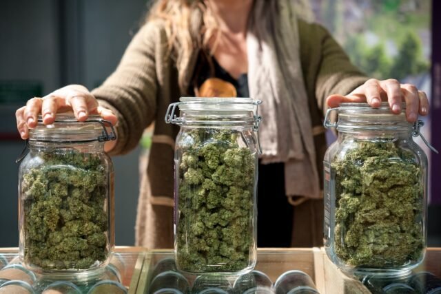 The History of Marijuana: From Ancient Use to Modern Cannabis Culture Where Can I Order Weed Online Wellington?